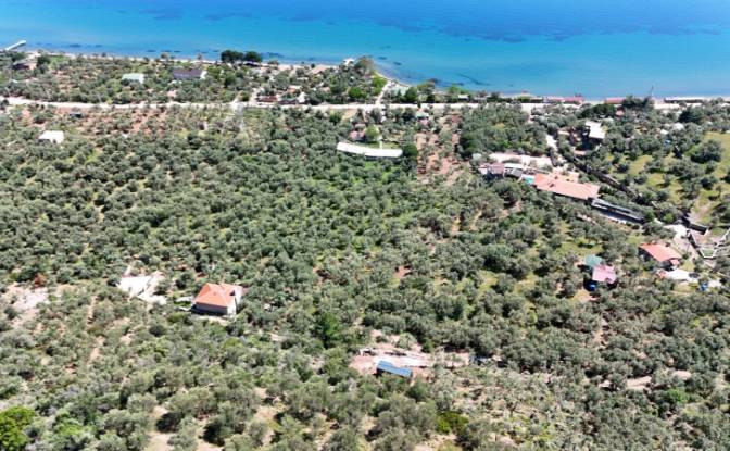 Investing/Development for Sale Beyaz Yalilar. Photo#21 Investing/Development for Sale Beyaz Yalilar. Photo#21