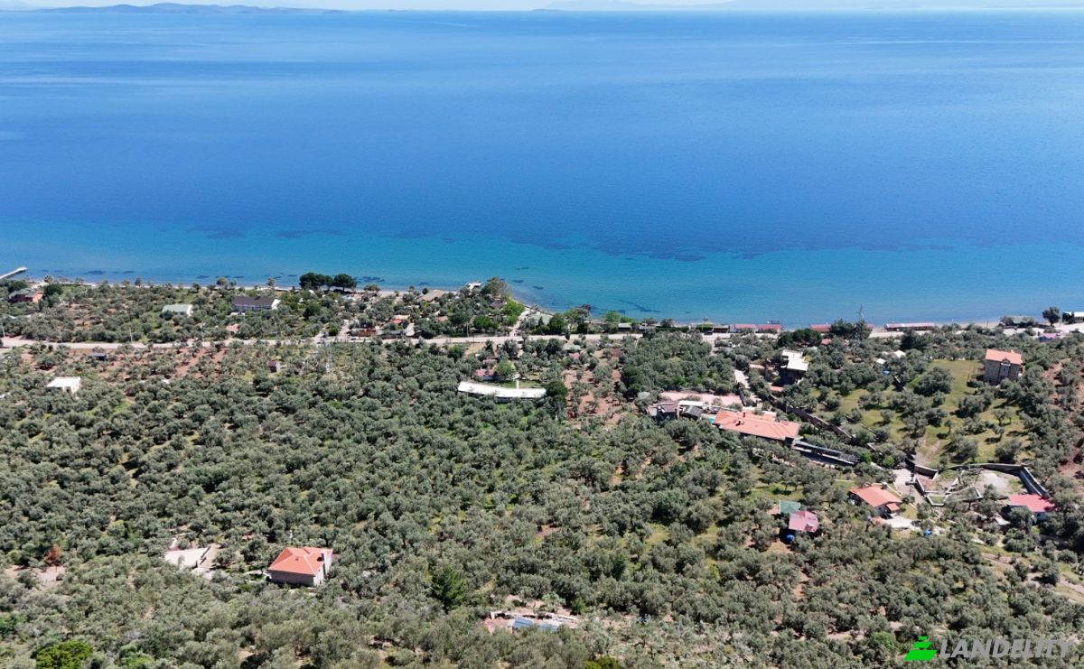 Investing/Development for Sale Beyaz Yalilar Caddesi, No:, 17862 Ahmetce Ayvacik Canakkale, Ayvacik Canakkale, Ayvacik, Canakkale, Turkiye. Photo 22