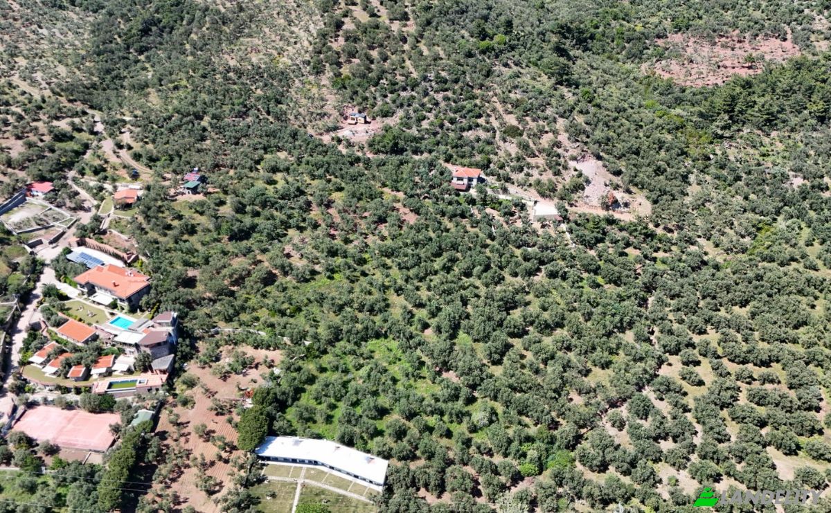 Investing/Development for Sale Beyaz Yalilar Caddesi, No:, 17862 Ahmetce Ayvacik Canakkale, Ayvacik Canakkale, Ayvacik, Canakkale, Turkiye. Photo 26