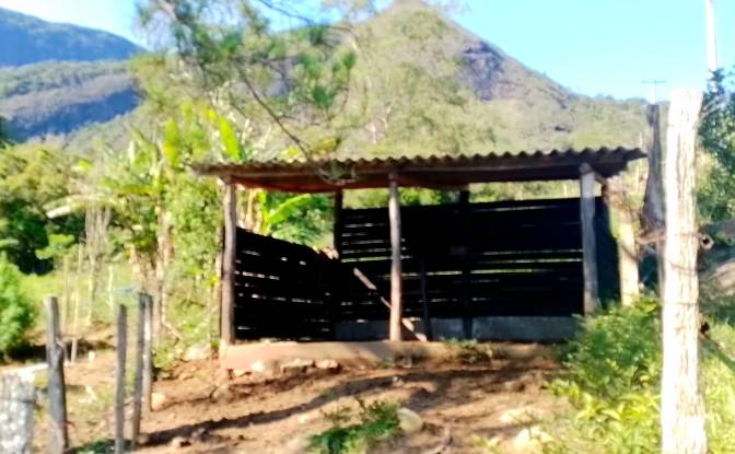 Farm/Ranch for Sale Sodrelandia, Trajano de Moraes. Photo#7 Farm/Ranch for Sale Sodrelandia, Trajano de Moraes. Photo#7