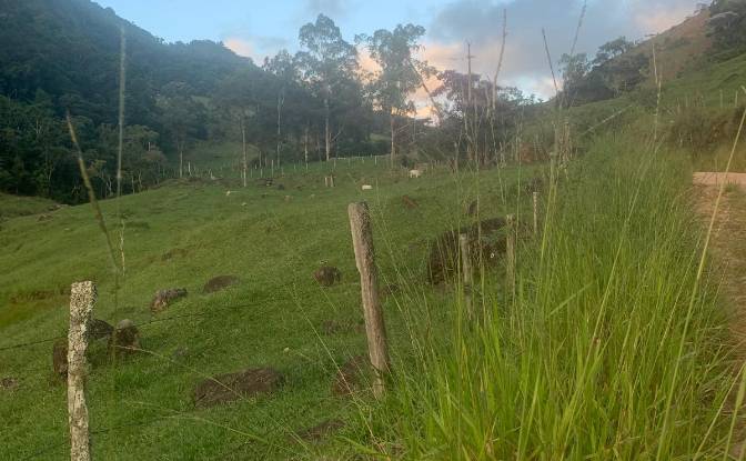 Farm/Ranch for Sale Sodrelandia, Trajano de Moraes. Photo#2 Farm/Ranch for Sale Sodrelandia, Trajano de Moraes. Photo#2