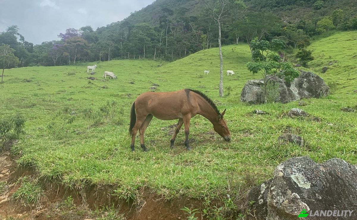 Farm/Ranch for Sale Sodrelandia, Trajano de Moraes, State of Rio de Janeiro, Brazil, 28750-000. Photo 3