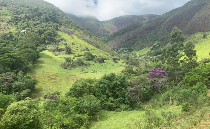Farm/Ranch for Sale Sodrelandia, Trajano de Moraes. Photo#4 Farm/Ranch for Sale Sodrelandia, Trajano de Moraes. Photo#4