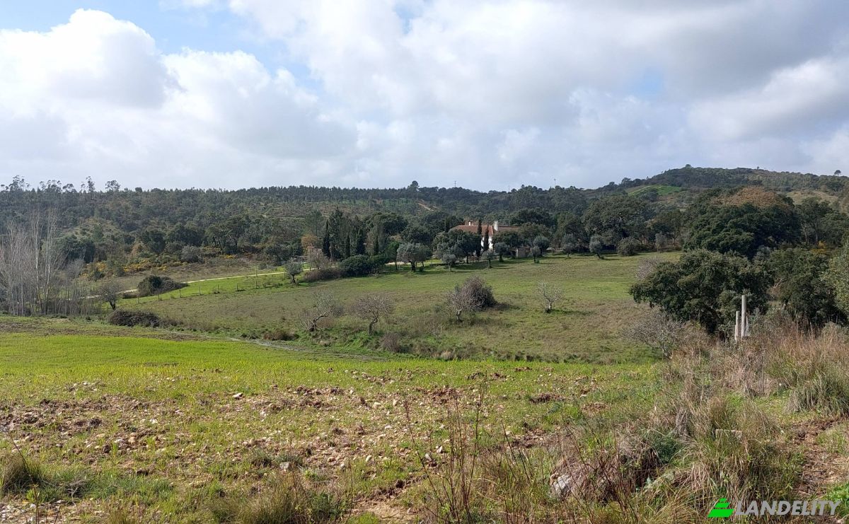 Farm/Ranch for Sale 2380 Vila Moreira, Vila Moreira, Alcanena, Santarem District, Portugal. Photo 2