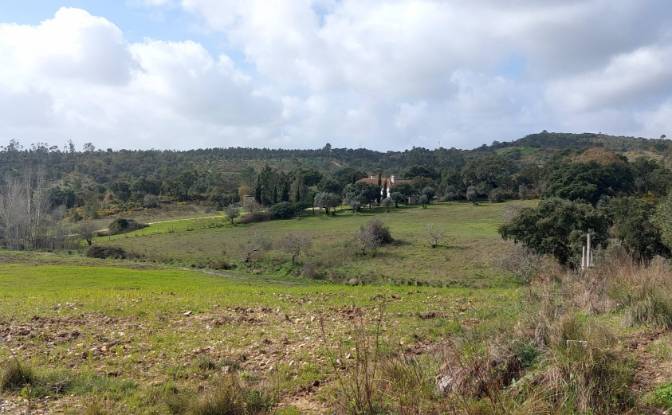 Farm/Ranch for Sale 2380 Vila Moreira. Photo#2