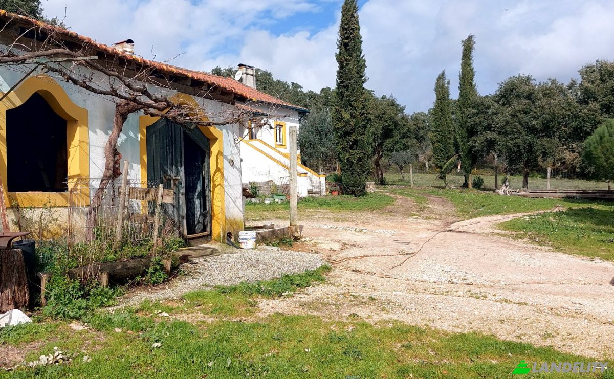 Farm/Ranch for Sale 2380 Vila Moreira, Vila Moreira, Alcanena, Santarem District, Portugal. Photo 3