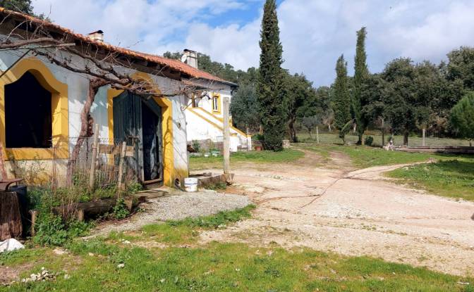 Farm/Ranch for Sale 2380 Vila Moreira. Photo#3