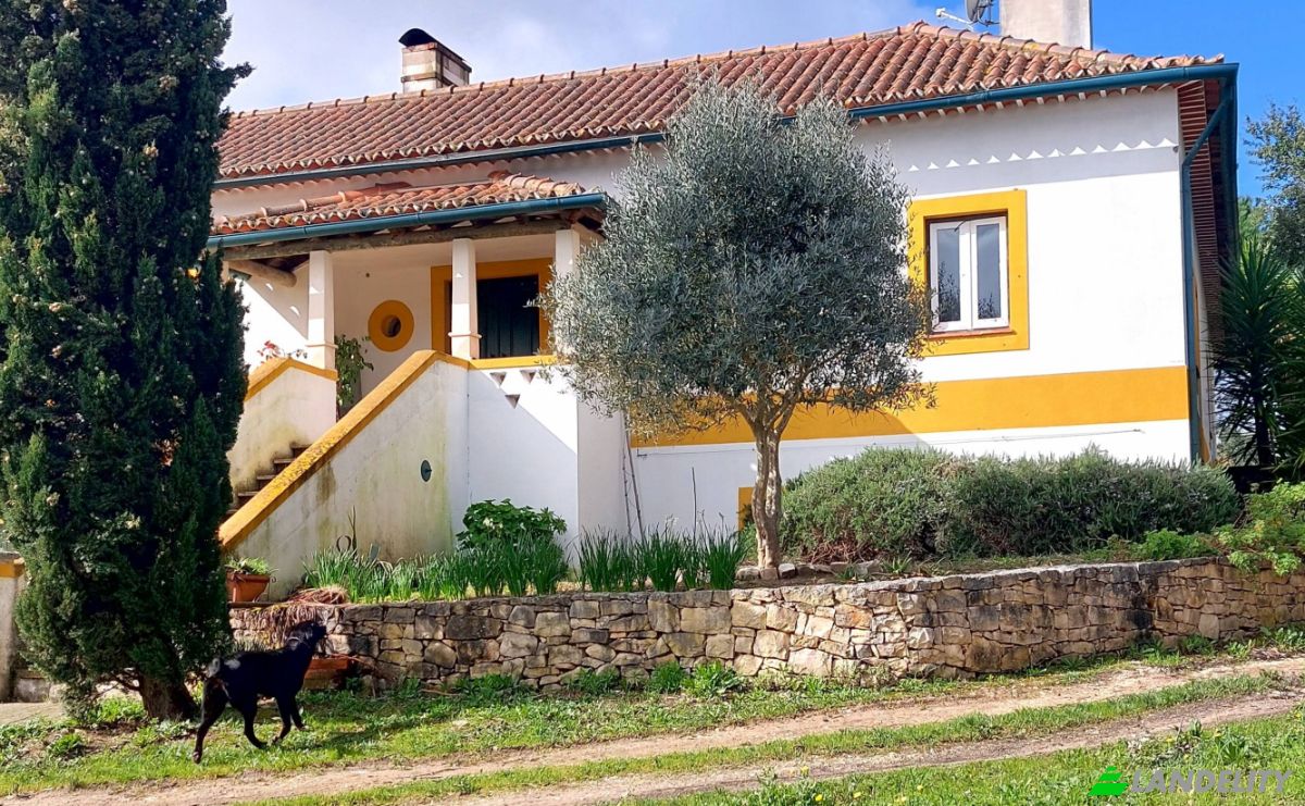 Farm/Ranch for Sale 2380 Vila Moreira, Vila Moreira, Alcanena, Santarem District, Portugal. Photo 4