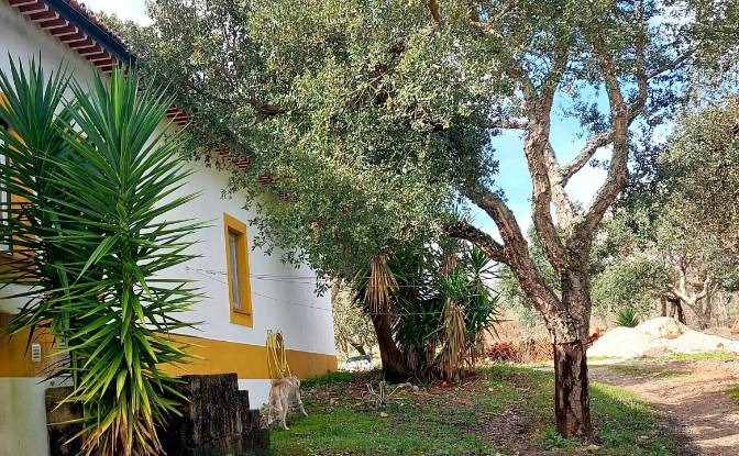 Farm/Ranch for Sale 2380 Vila Moreira. Photo#5