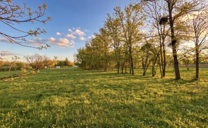Land Lot for Sale Kehidakustany. Photo#3 Land Lot for Sale Kehidakustany. Photo#3