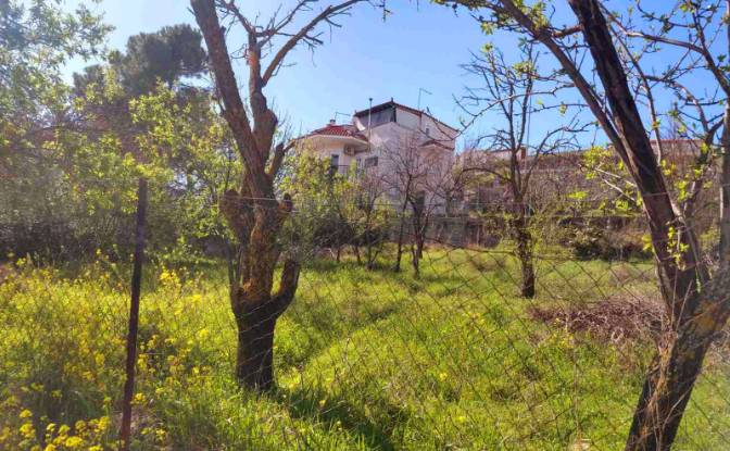 Land Lot for Sale Evvoias 20, Kalamos 190 14. Photo#3 Land Lot for Sale Evvoias 20, Kalamos 190 14. Photo#3