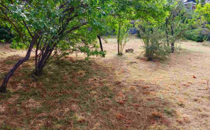 Land Lot for Sale Evvoias 20, Kalamos 190 14. Photo#4 Land Lot for Sale Evvoias 20, Kalamos 190 14. Photo#4
