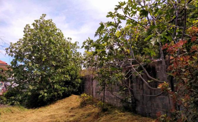 Land Lot for Sale Evvoias 20, Kalamos 190 14. Photo#5 Land Lot for Sale Evvoias 20, Kalamos 190 14. Photo#5