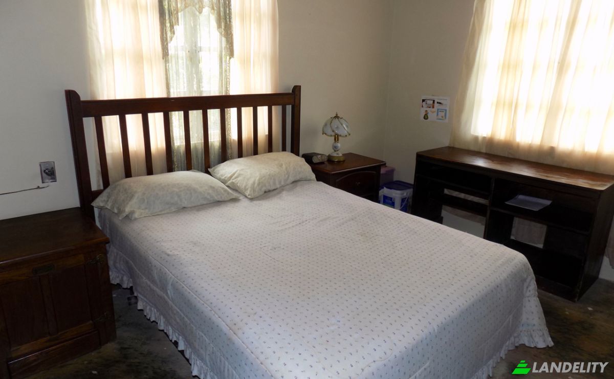 Investing/Development for Sale 21 Phipps Trace, Sangre Grande, Sangre Grande Regional Corporation, Trinidad and Tobago. Photo 10