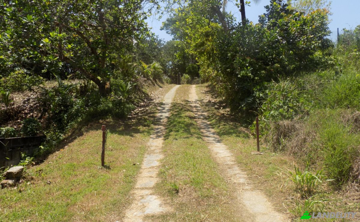 Investing/Development for Sale 21 Phipps Trace, Sangre Grande, Sangre Grande Regional Corporation, Trinidad and Tobago. Photo 15