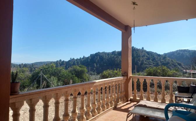 Farm/Ranch for Sale Av de la Alegea, Anna. Photo#2 Farm/Ranch for Sale Av de la Alegea, Anna. Photo#2