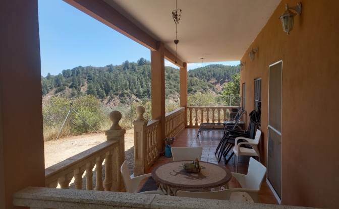 Farm/Ranch for Sale Av de la Alegea, Anna. Photo#4 Farm/Ranch for Sale Av de la Alegea, Anna. Photo#4