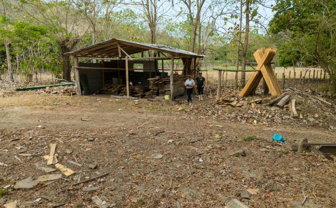 Investing/Development for Sale Via sin nombre. Photo#12