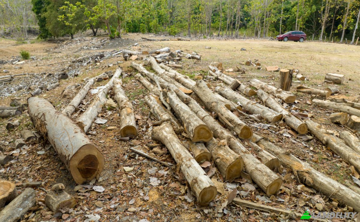 Investing/Development for Sale Via sin nombre, Provincia de Puntarenas, Puntarenas, Puntarenas Province, Costa Rica. Photo 13