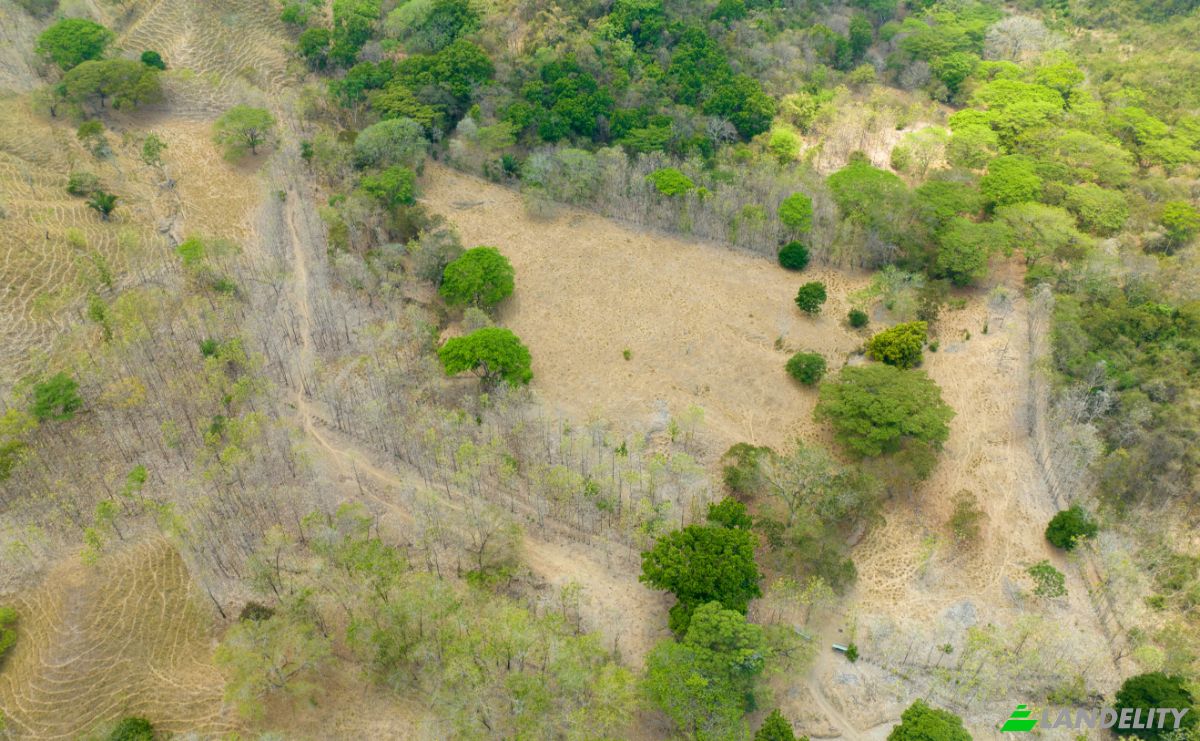 Investing/Development for Sale Via sin nombre, Provincia de Puntarenas, Puntarenas, Puntarenas Province, Costa Rica. Photo 3