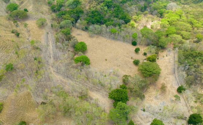 Investing/Development for Sale Via sin nombre. Photo#3