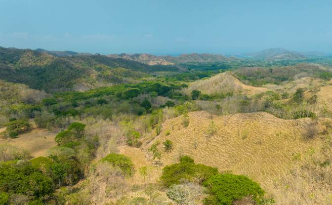 Investing/Development for Sale Via sin nombre. Photo#20