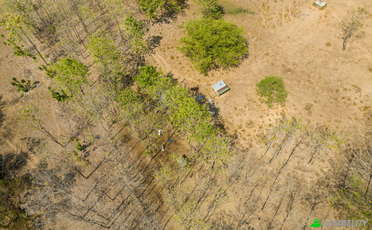 Investing/Development for Sale Via sin nombre, Provincia de Puntarenas, Puntarenas, Puntarenas Province, Costa Rica. Photo 21