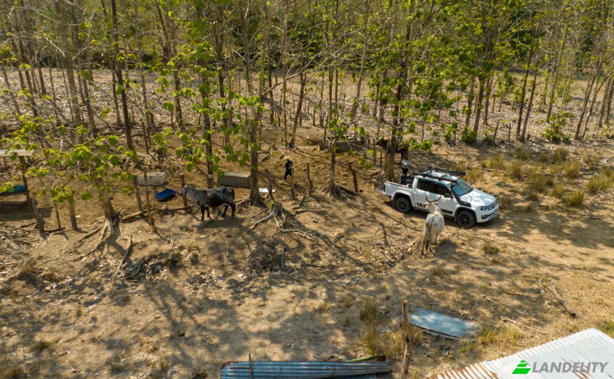 Investing/Development for Sale Via sin nombre, Provincia de Puntarenas, Puntarenas, Puntarenas Province, Costa Rica. Photo 22
