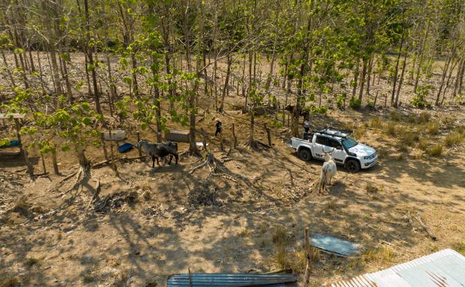 Investing/Development for Sale Via sin nombre. Photo#22
