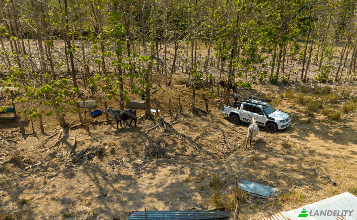 Investing/Development for Sale Via sin nombre, Provincia de Puntarenas, Puntarenas, Puntarenas Province, Costa Rica. Photo 23