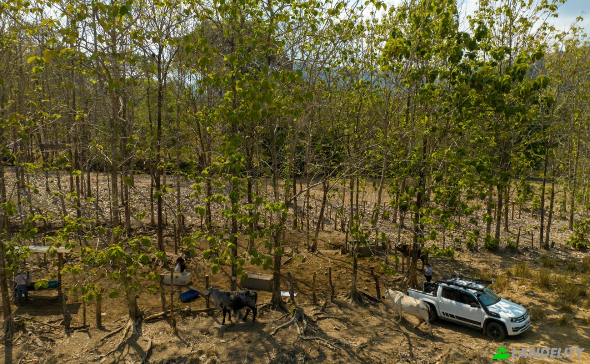Investing/Development for Sale Via sin nombre, Provincia de Puntarenas, Puntarenas, Puntarenas Province, Costa Rica. Photo 24