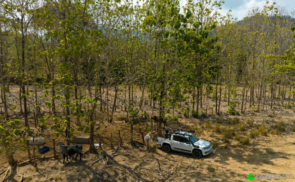 Investing/Development for Sale Via sin nombre, Provincia de Puntarenas, Puntarenas, Puntarenas Province, Costa Rica. Photo 25