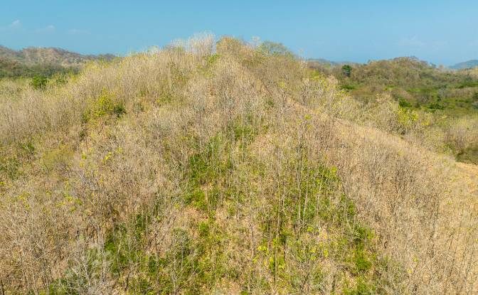 Investing/Development for Sale Via sin nombre. Photo#26