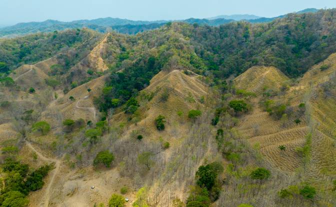 Investing/Development for Sale Via sin nombre. Photo#4