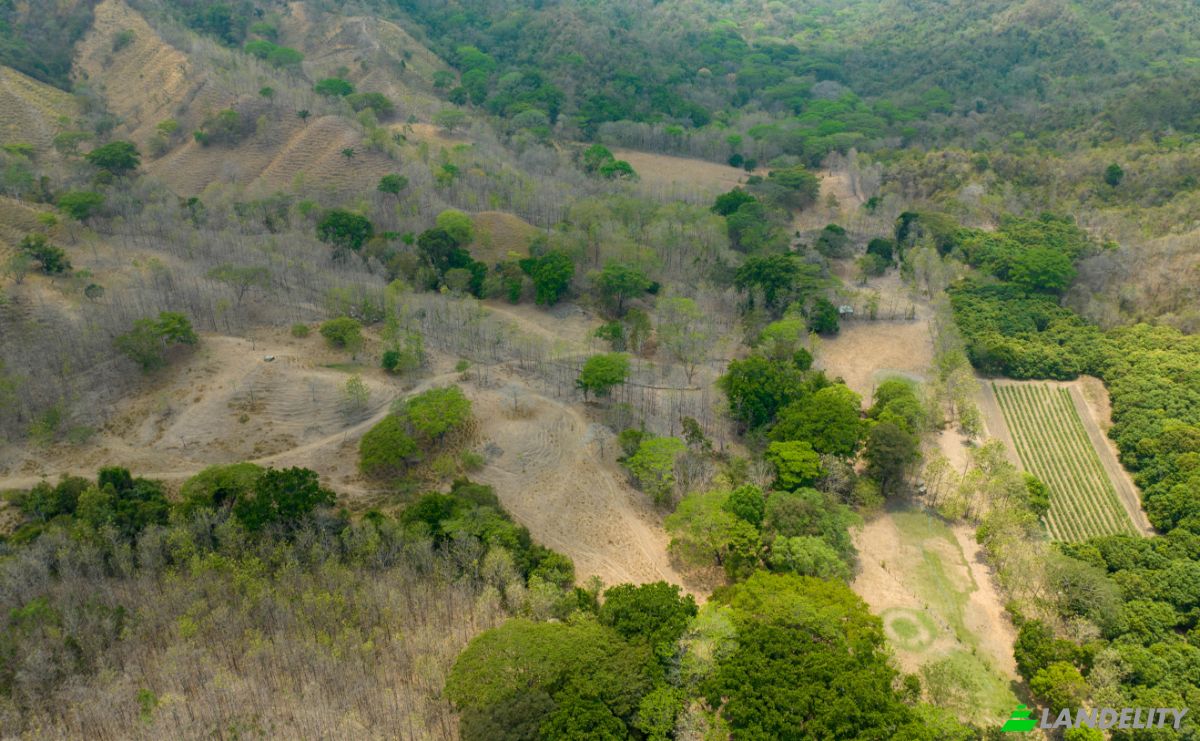Investing/Development for Sale Via sin nombre, Provincia de Puntarenas, Puntarenas, Puntarenas Province, Costa Rica. Photo 6