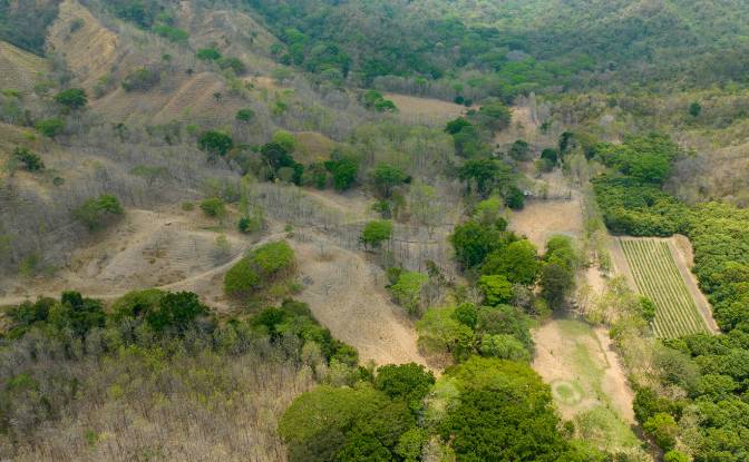Investing/Development for Sale Via sin nombre. Photo#6