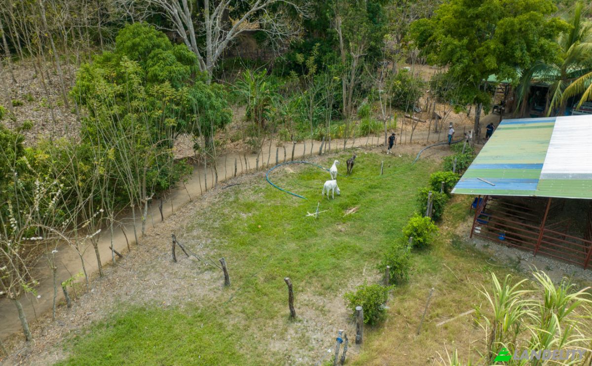 Investing/Development for Sale Via sin nombre, Provincia de Puntarenas, Puntarenas, Puntarenas Province, Costa Rica. Photo 7