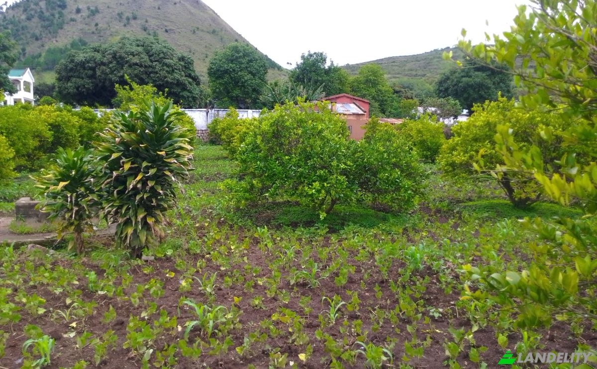 Grundstück zu verkaufen Ampefy, Soavinandriana, Itasy, Madagascar. Foto 3