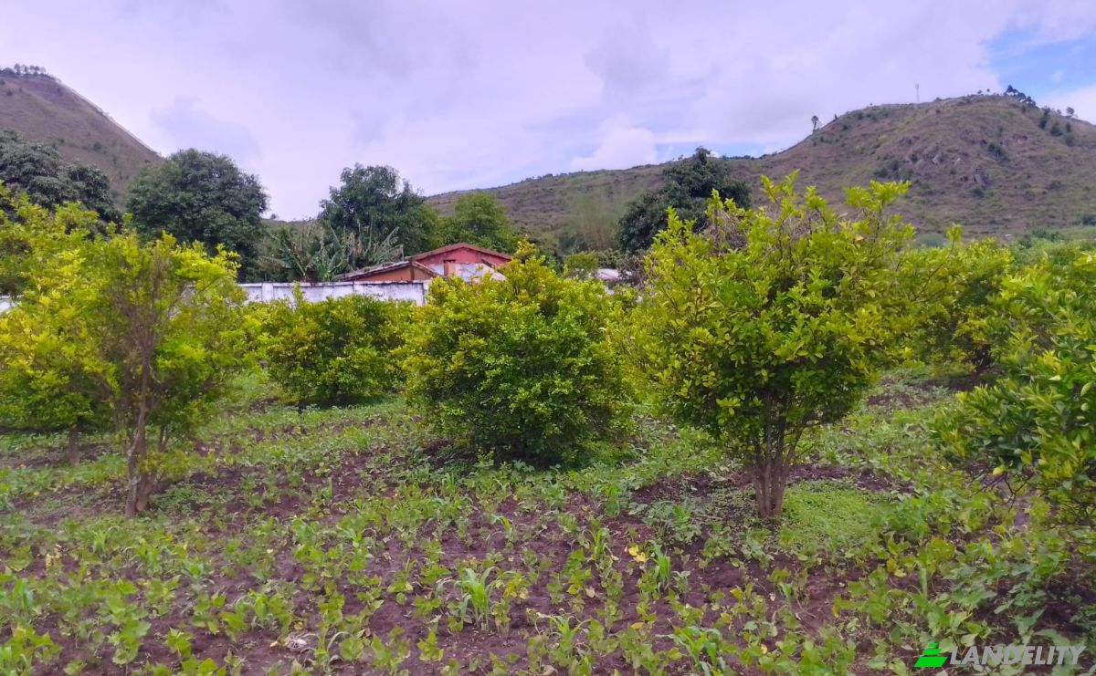 Grundstück zu verkaufen Ampefy, Soavinandriana, Itasy, Madagascar. Foto 5