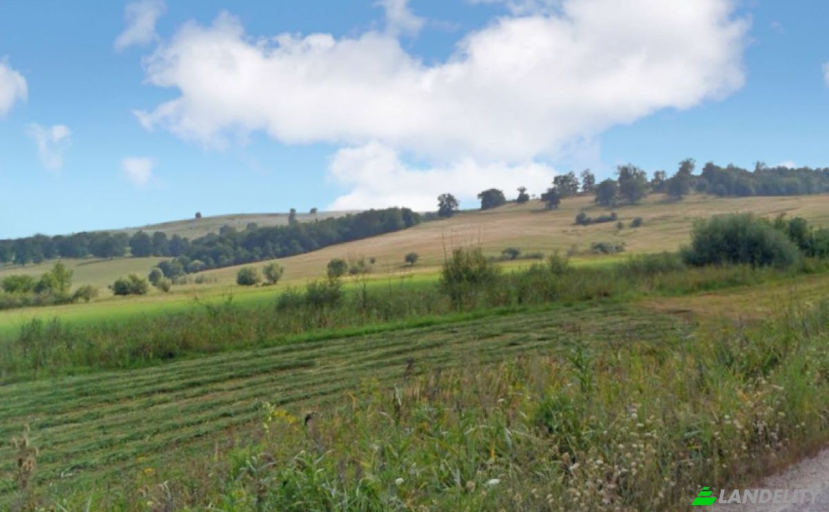 Investing/Development for Sale DC14, 507215, Soars, Brasov, Romania. Photo 1
