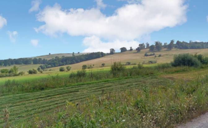 Investing/Development for Sale - Soars, Romania