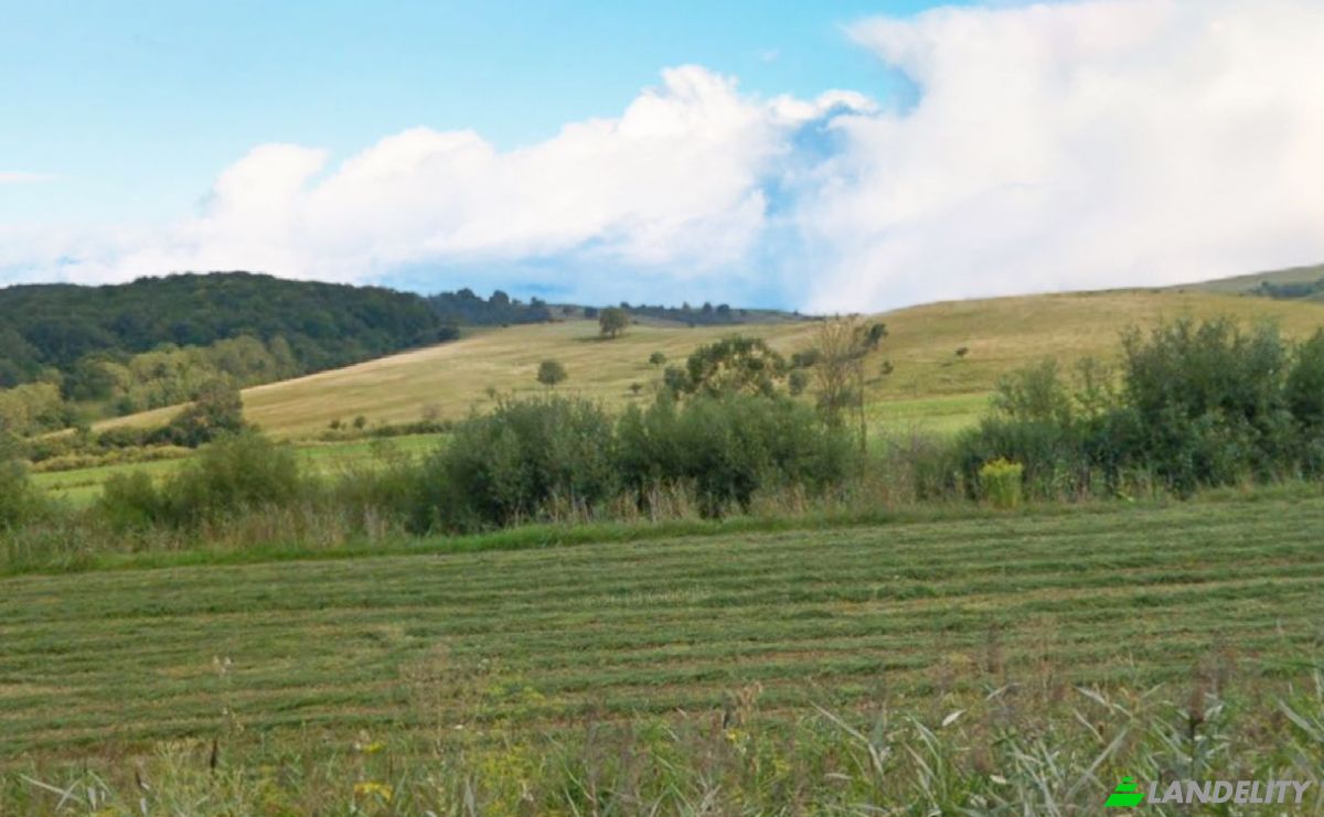Investing/Development for Sale DC14, 507215, Soars, Brasov, Romania. Photo 2