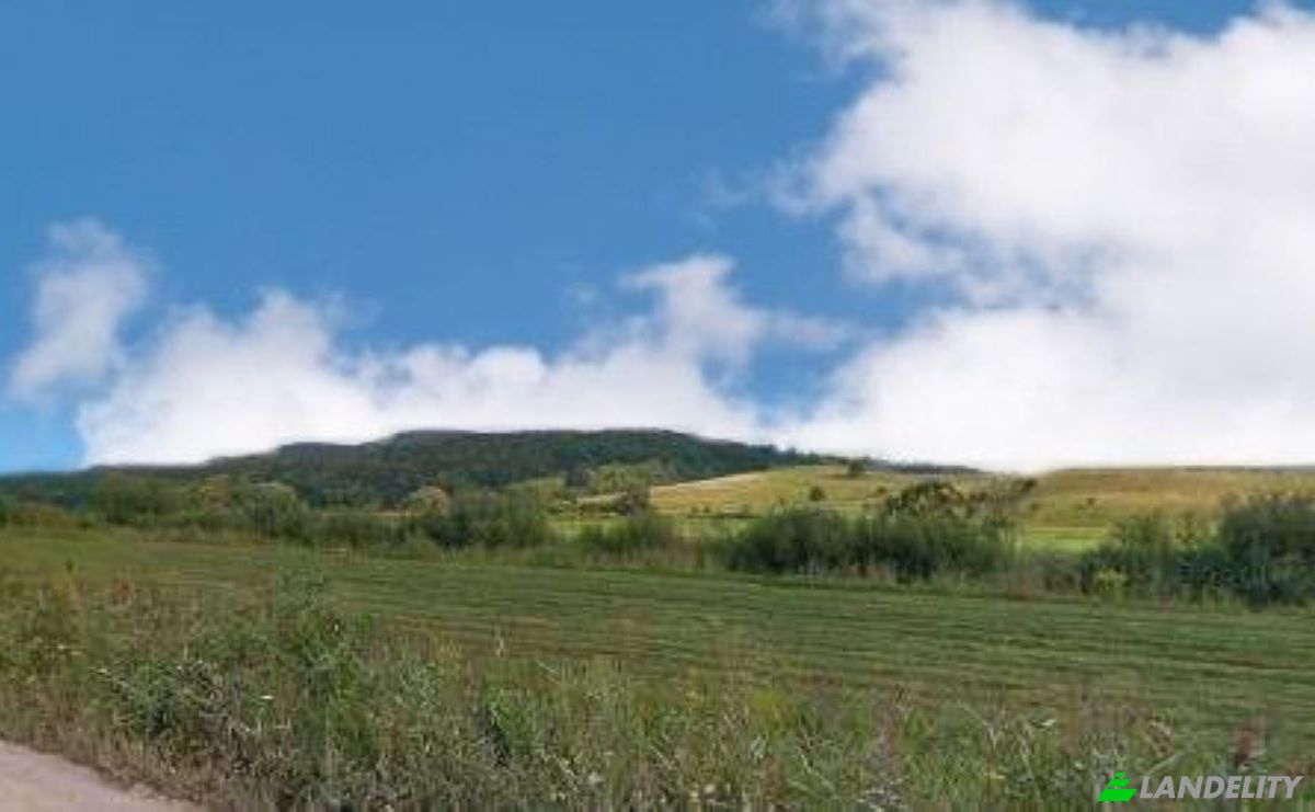 Investing/Development for Sale DC14, 507215, Soars, Brasov, Romania. Photo 4