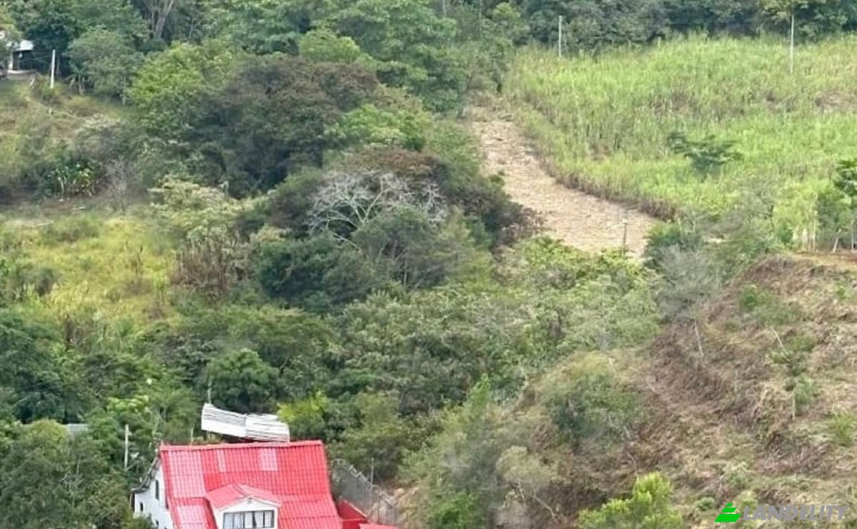 Villa for Sale Tamarindo Salado, Ibague, Tolima, Colombia. Photo 15