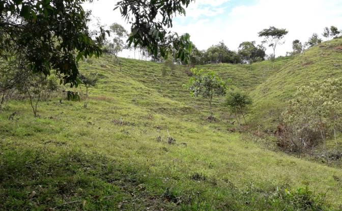 Villa for Sale Tamarindo Salado, Ibague, Tolima. Photo#21