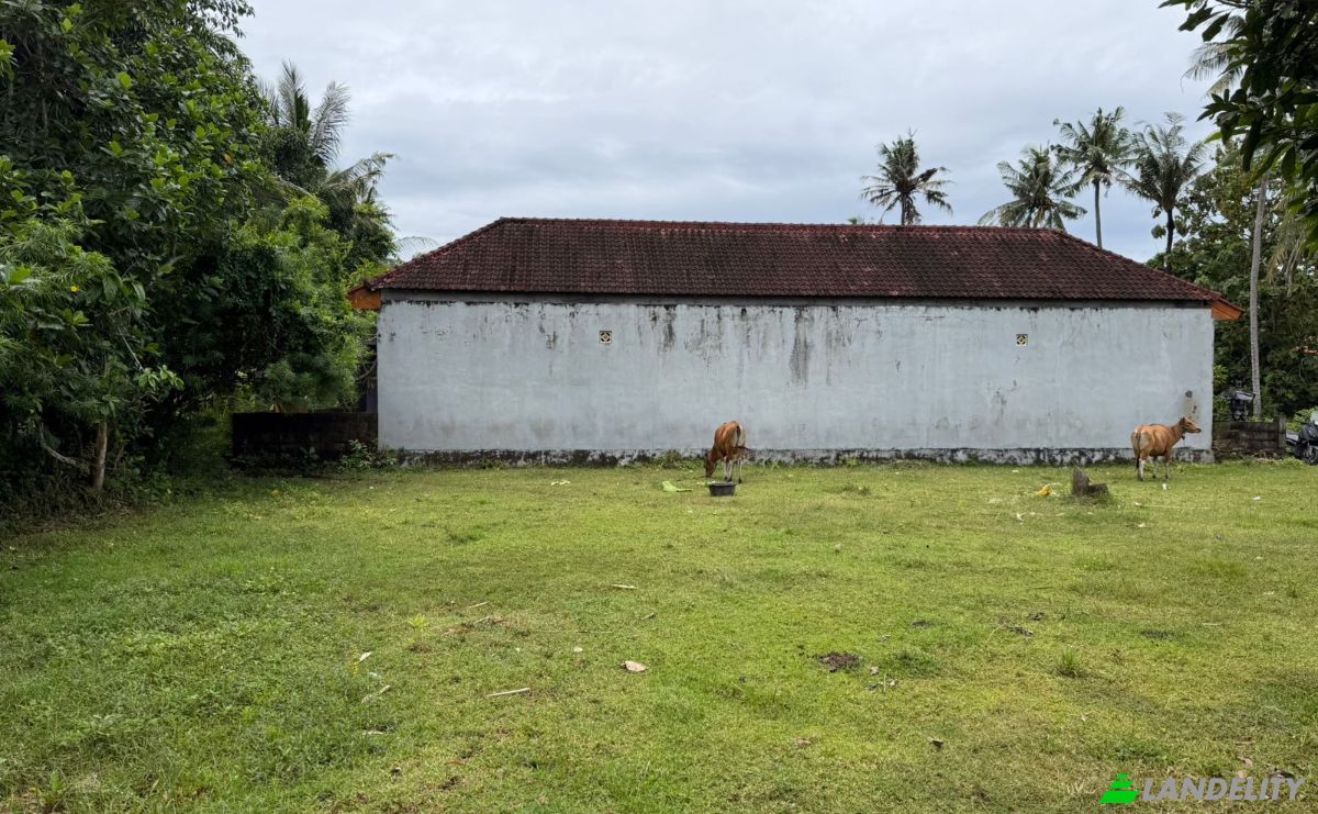 Land Lot for Sale Jalan Jungutbatu Kangin Jungut Batu Nusa Penida, Jungutbatu, Klungkung Regency, Bali, Indonesia, Kec Nusa Penida, Kabupaten Klungkung, Bali 80771. Photo 12