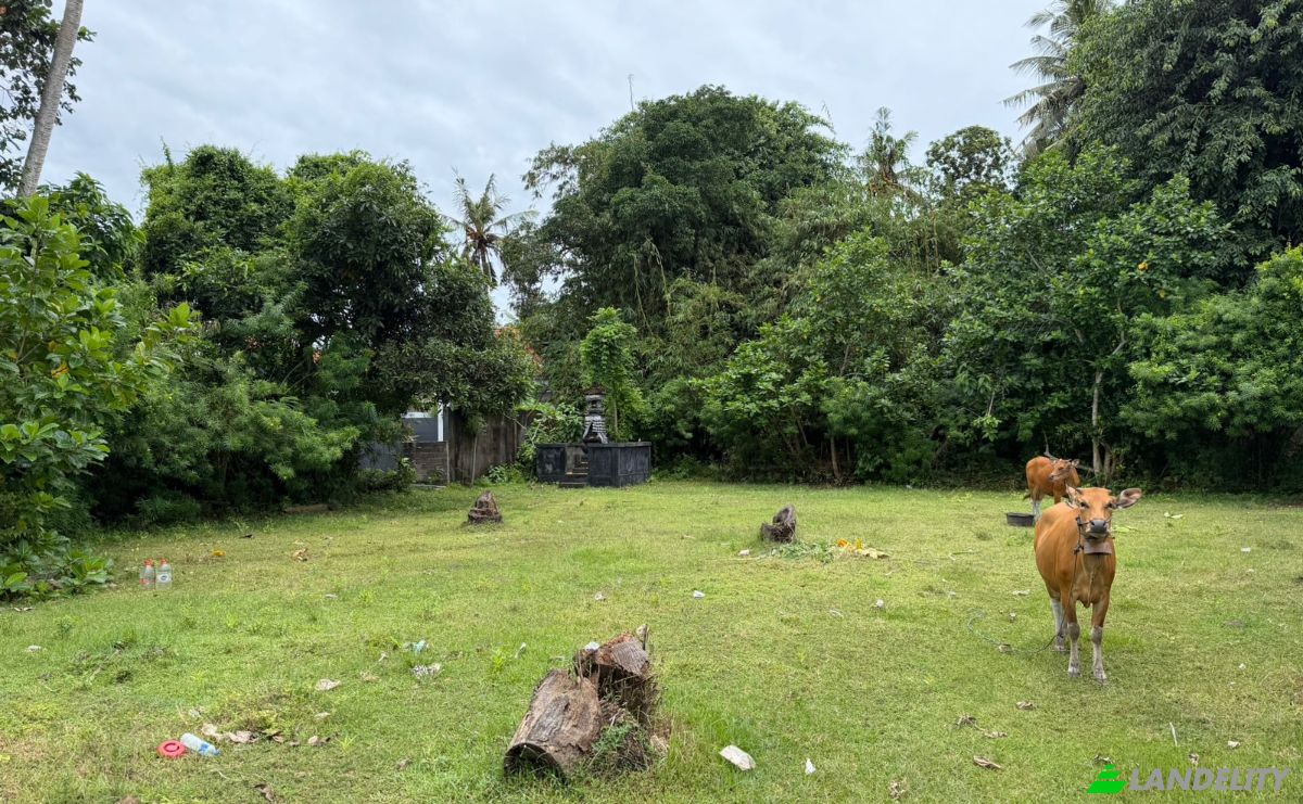 Land Lot for Sale Jalan Jungutbatu Kangin Jungut Batu Nusa Penida, Jungutbatu, Klungkung Regency, Bali, Indonesia, Kec Nusa Penida, Kabupaten Klungkung, Bali 80771. Photo 13