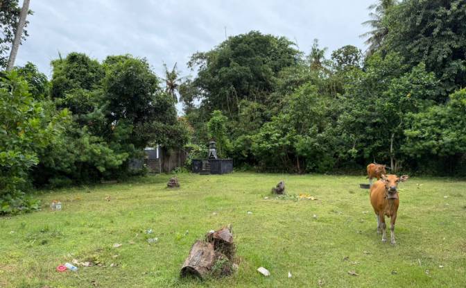 Land Lot for Sale Jalan Jungutbatu Kangin Jungut. Photo#13