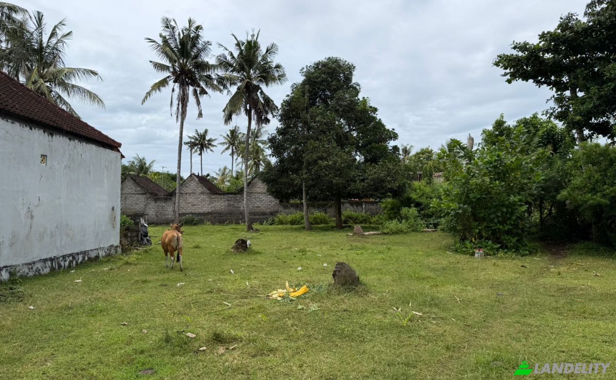 Land Lot for Sale Jalan Jungutbatu Kangin Jungut Batu Nusa Penida, Jungutbatu, Klungkung Regency, Bali, Indonesia, Kec Nusa Penida, Kabupaten Klungkung, Bali 80771. Photo 14