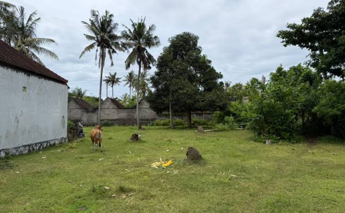 Land Lot for Sale Jalan Jungutbatu Kangin Jungut. Photo#14